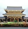 スティンキーさんの写真