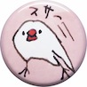 ＳＡＴＵさんの写真